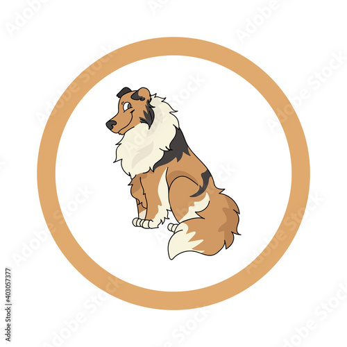 Cute cartoon Scootish Collie in dotty circle dog vector clipart. Pedigree kennel doggie breed for kennel club. Purebred domestic dog training for pet parlor. Illustration mascot. Isolated canine. 