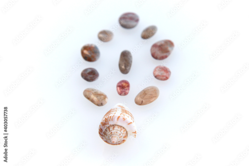 Seashell and pebbles on a white background. Seashell and pebbles on a white background.