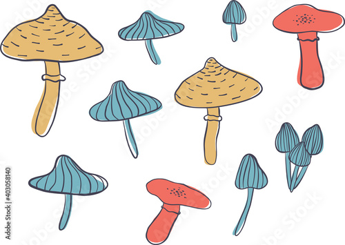 Mushroom vector elements hand drawn, isolated on white background