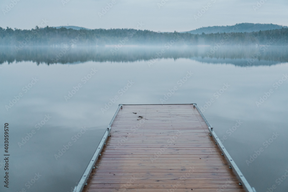 Foggy Pond