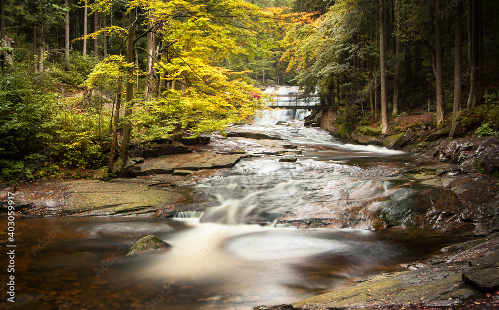 Obraz premium waterfall in the forest