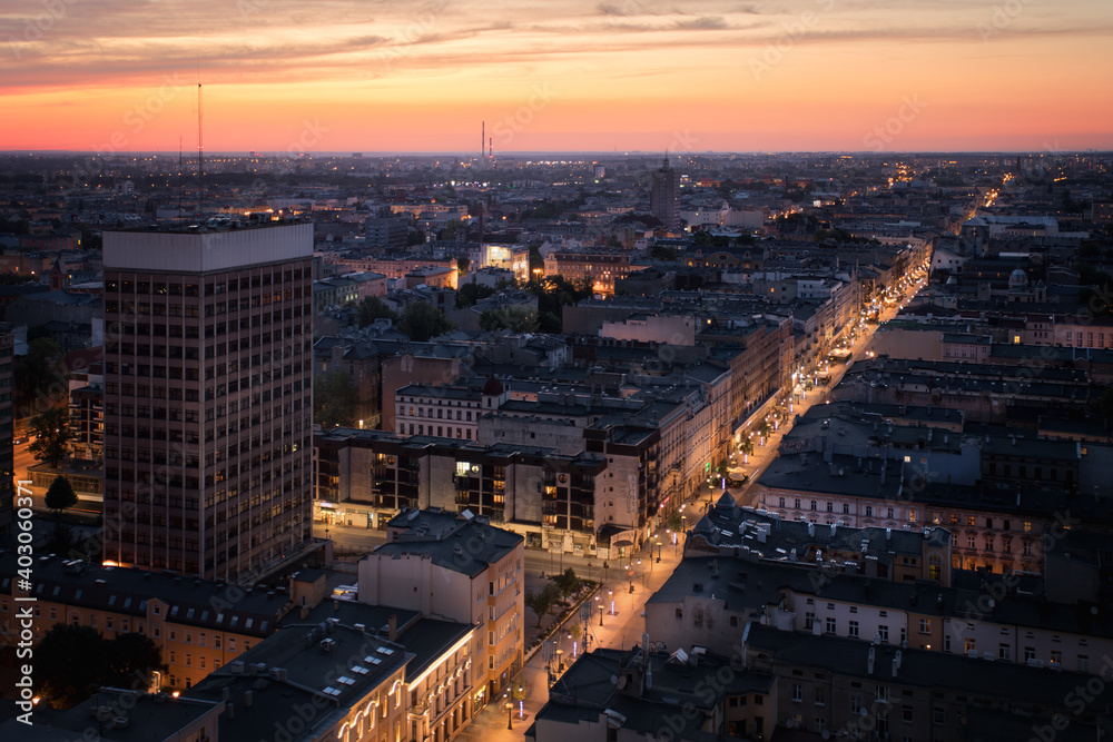 Obraz premium city from the eiffel tower