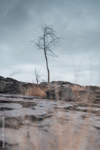 Rock Point