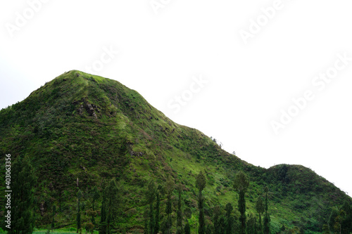 green rock mountain isolate on white background 