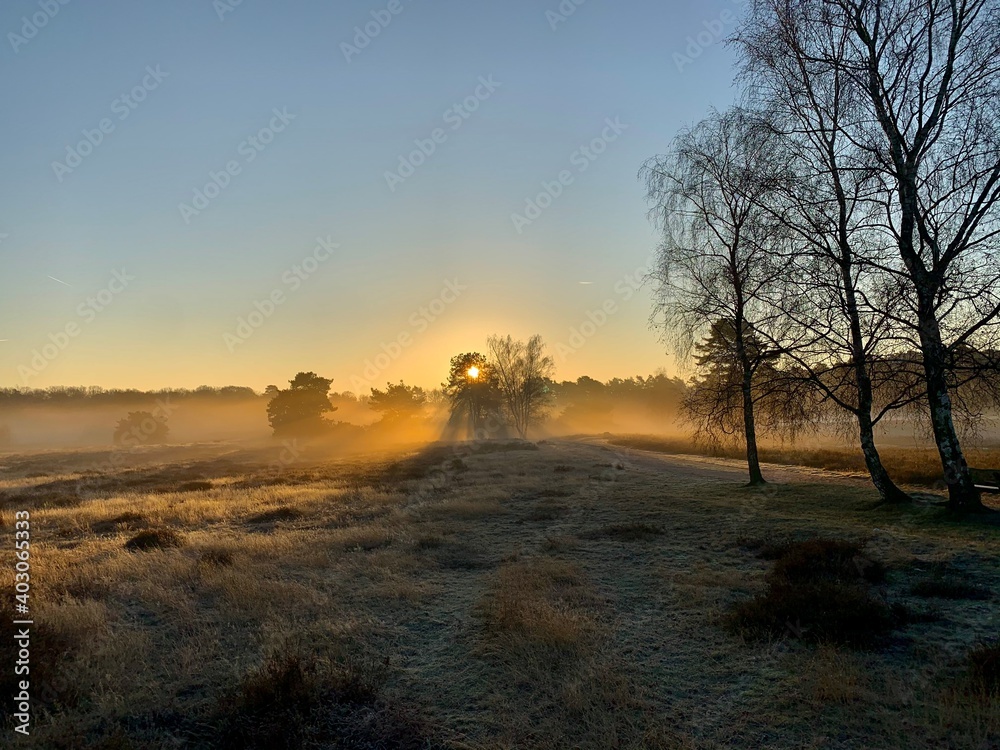 Westruper Heide Westruper Heide