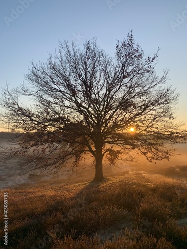 Wallpaper Mural Westruper Heide Torontodigital.ca