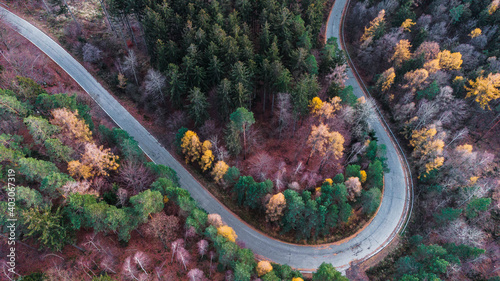 Drone point of view for road in the forest. © Adam