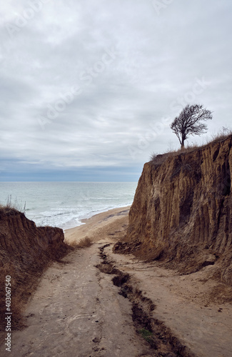 Black sea coast. Landscape in Ukraine. photo