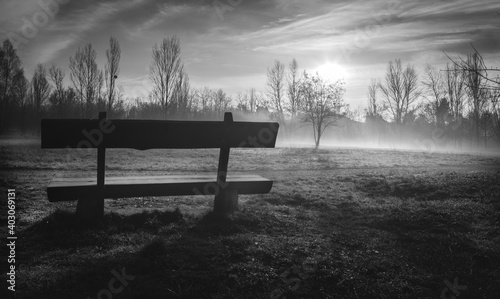 bench in fog