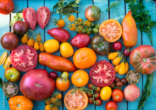 Fototapeta Naklejka Na Ścianę i Meble -  Colorful organic tomatoes. Mix tomatoes background. Several varieties of tomatoes on wooden background top view. Different kind assorted colorful tomatoes.