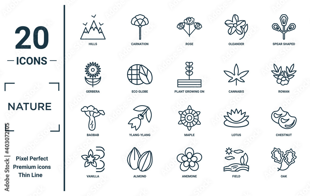 nature linear icon set. includes thin line hills, gerbera, baobab, vanilla, oak, plant growing on book, chestnut icons for report, presentation, diagram, web design