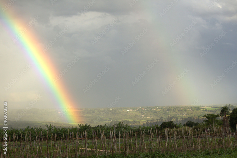 rainbow over the field