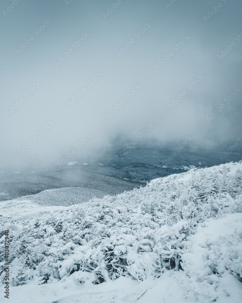Obraz premium Mountains