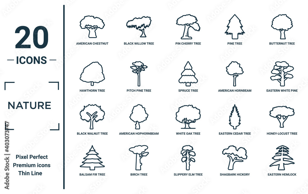nature linear icon set. includes thin line american chestnut tree ...