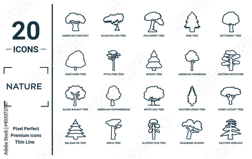 nature linear icon set. includes thin line american chestnut tree, hawthorn tree, black walnut tree, balsam fir eastern hemlock spruce honey-locust icons for report, presentation, diagram, web