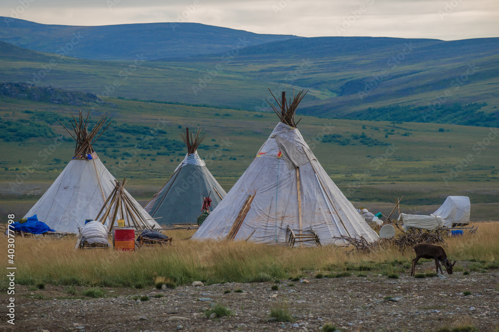 Camp of modern reindeer herders in the tundra in a early summer morning. Yamal, Russia