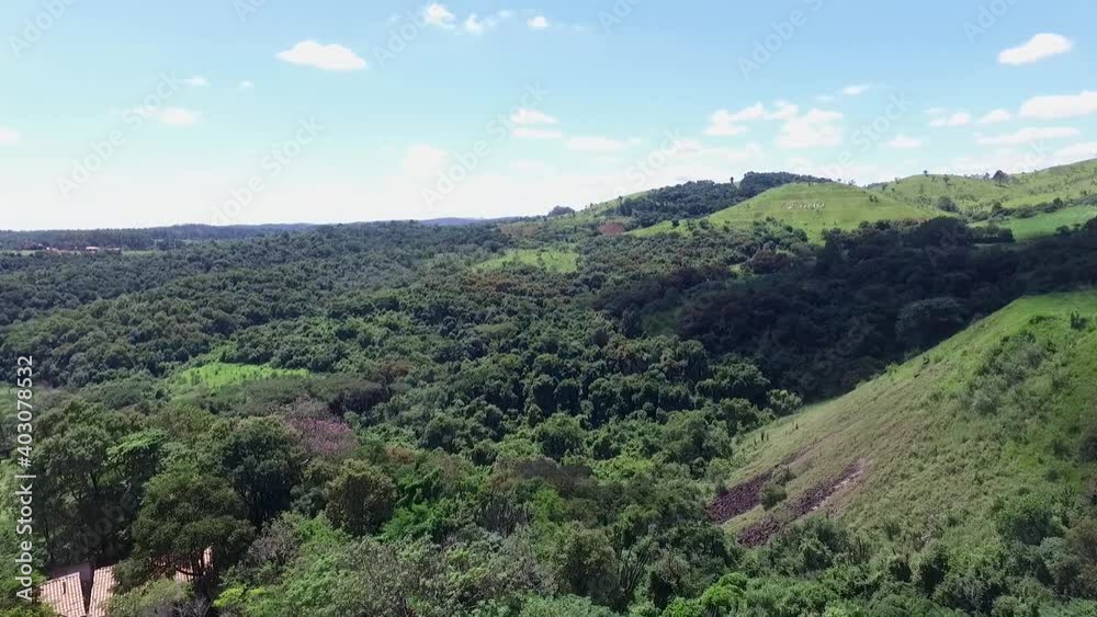 drone sobrevoa mata fechada