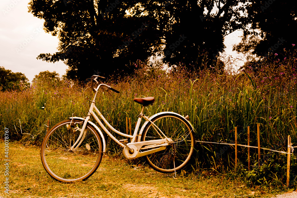 vintage bicycle on vintage outdoor park. Old bicycle and the green plants. Vintage Bicycle with flowers on summer landscape background