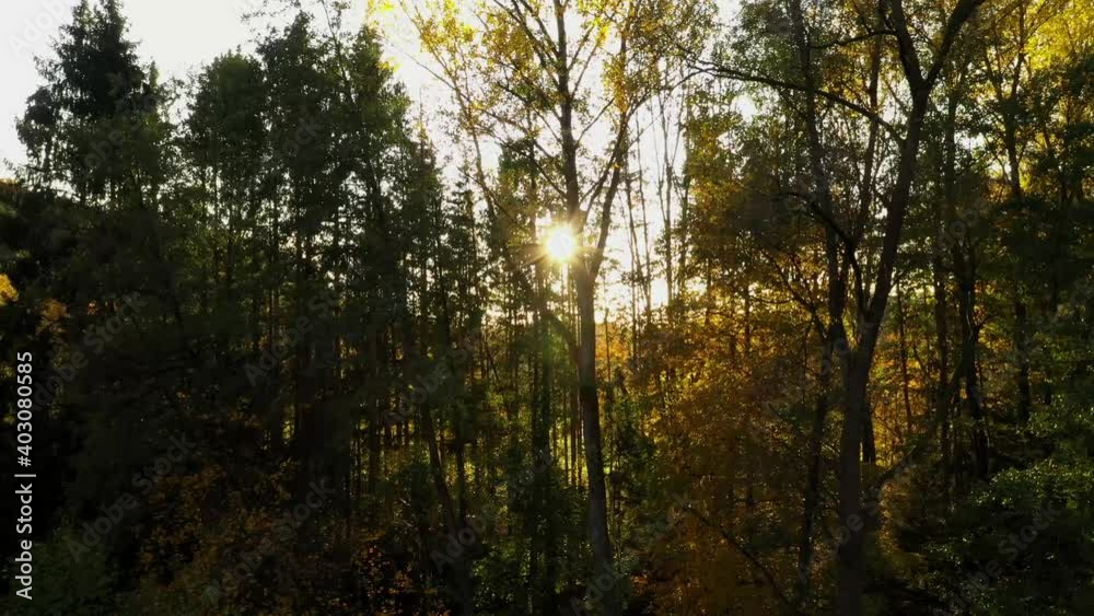 sun shining between autumn trees sun shining between autumn trees