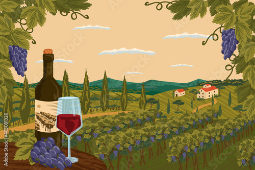 Vineyard landscape with grape tree field and winery farm on background. Red wine bottle with glass. Hand draw vector illustration poster