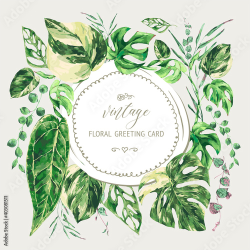 Vector watercolor tropical green leaves. Monstera Variegated greenery illustration