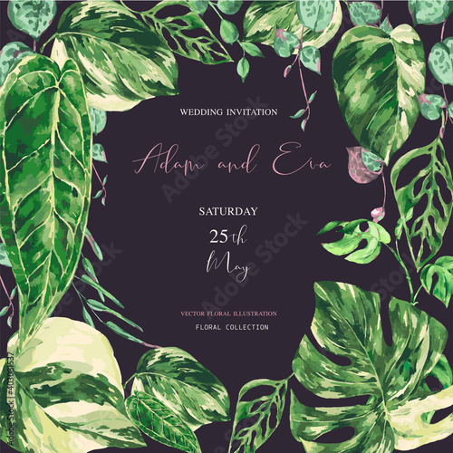 Vector watercolor tropical green leaves. Monstera Variegated greenery illustration