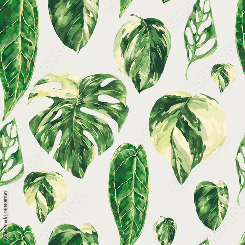 Vector watercolor tropical green leaves seamless pattern. Monstera Variegated greenery texture, photo