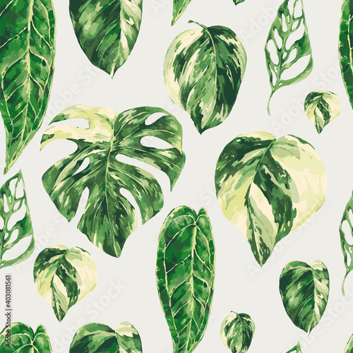 Vector watercolor tropical green leaves seamless pattern. Monstera Variegated greenery texture,