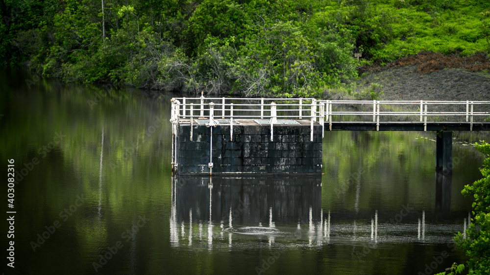 Scenic landscape of lake and a dock construction, greenery reflection on the water, dark gloomy tropical atmosphere, Scenic landscape of lake and a dock construction, greenery reflection on the water, dark gloomy tropical atmosphere,