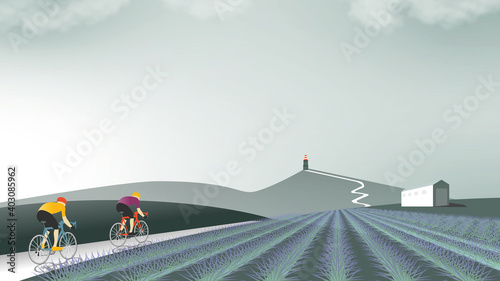 Mont Ventoux & lavande