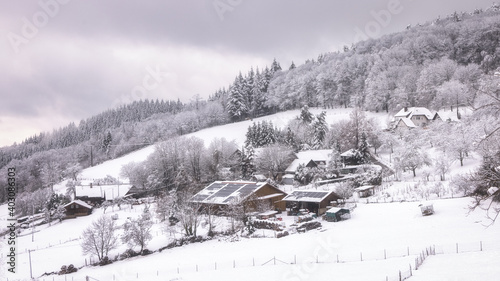 Black forest in the winter season