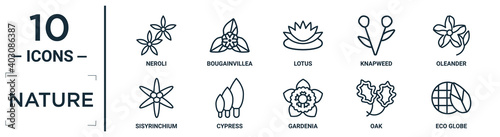 nature linear icon set. includes thin line neroli, lotus, oleander, cypress, oak, eco globe, sisyrinchium icons for report, presentation, diagram, web design photo
