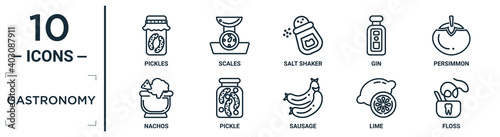 gastronomy linear icon set. includes thin line pickles, salt shaker, persimmon, pickle, lime, floss, nachos icons for report, presentation, diagram, web design