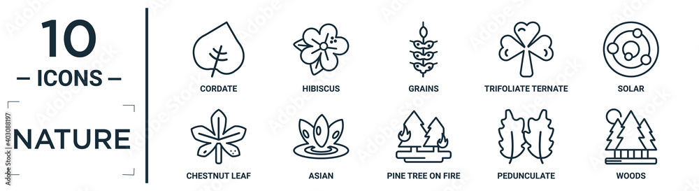 nature linear icon set. includes thin line cordate, grains, solar, asian, pedunculate, woods, chestnut leaf icons for report, presentation, diagram, web design