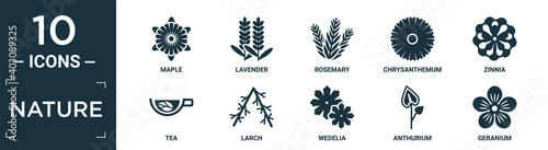 filled nature icon set. contain flat maple, lavender, rosemary, chrysanthemum, zinnia, tea, larch, wedelia, anthurium, geranium icons in editable format.. photo