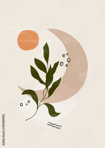 Botanical vintage print boho moon minimalist wall art