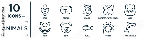 animals linear icon set. includes thin line cock, llama, mole, bear, spider, hummerhead, boar icons for report, presentation, diagram, web design