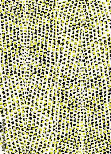 Reptile skin. Animal print background.
