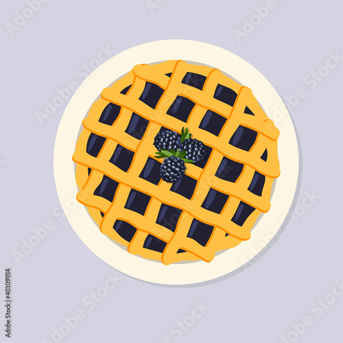 Blackberry vector hand drawn pie, flat lay top view