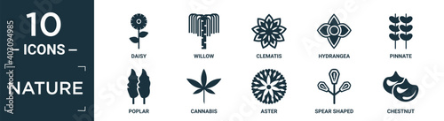 filled nature icon set. contain flat daisy, willow, clematis, hydrangea, pinnate, poplar, cannabis, aster, spear shaped, chestnut icons in editable format..