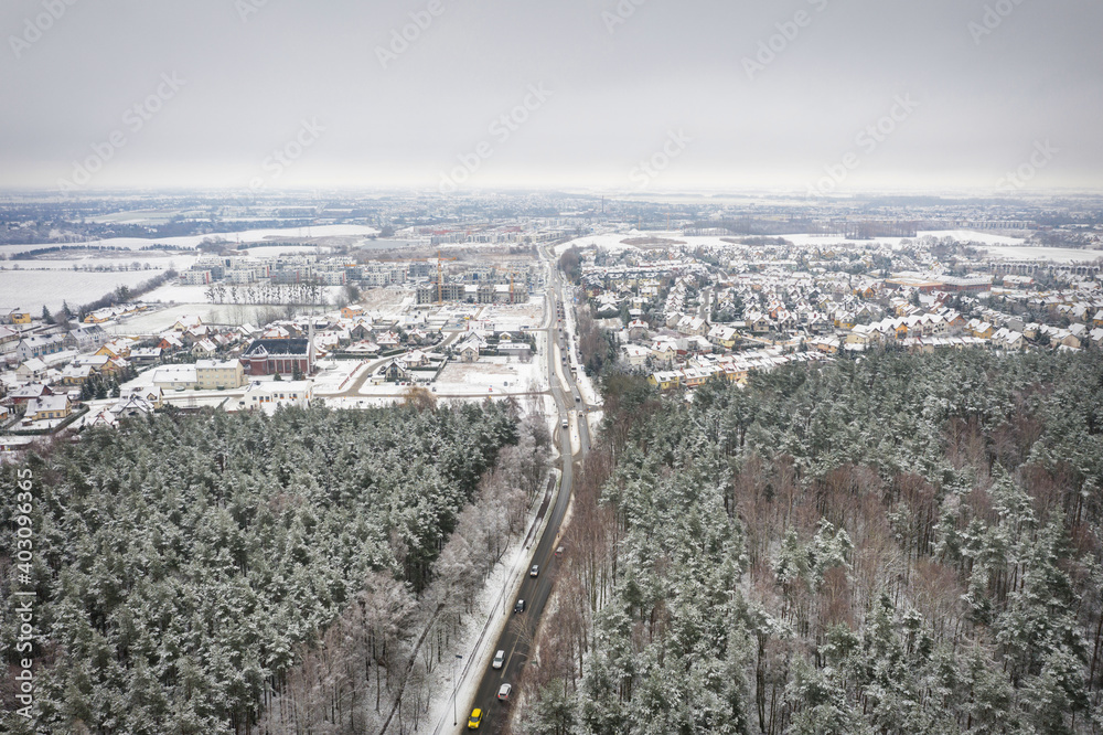 Obraz premium Aerial view of the pine forest covered with fresh snow