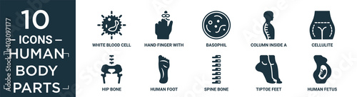 filled human body parts icon set. contain flat white blood cell, hand finger with a ribbon, basophil, column inside a male human body in side view, cellulite, hip bone, human foot, spine bone,.