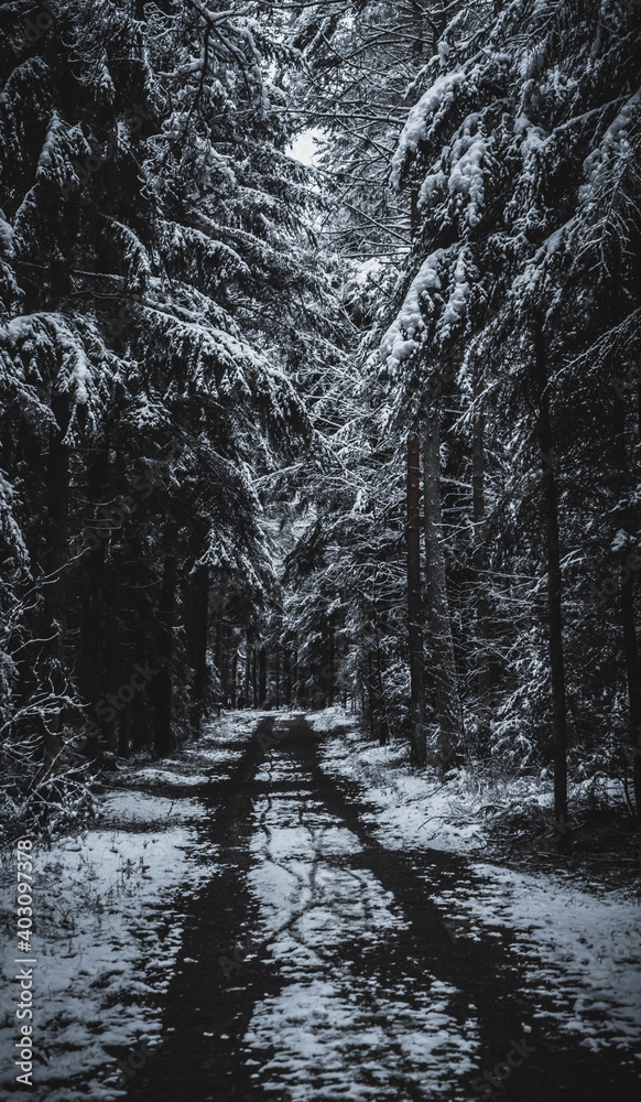 Der Weg ist das Ziehl Der Weg ist das Ziehl