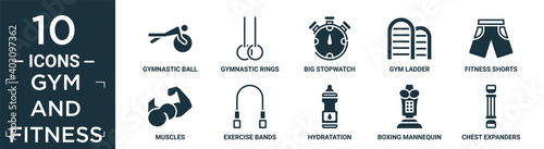 filled gym and fitness icon set. contain flat gymnastic ball, gymnastic rings, big stopwatch, gym ladder, fitness shorts, muscles, exercise bands, hydratation, boxing mannequin, chest expanders.