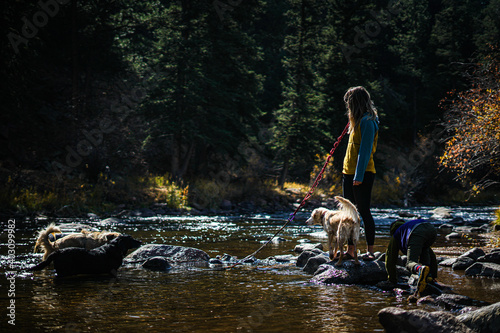 Canvas Print Mother and son playing in river with dogs