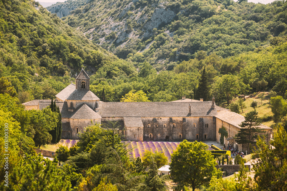 Notre-dame De Senanque Abbey, Vaucluse, France. Beautiful Landscape Lavender Field And An Ancient Monastery Abbaye Notre-dame De Senanque.