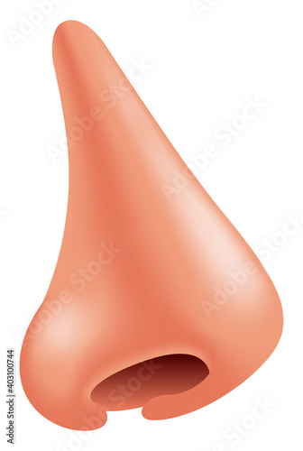 Vector nose in gradient style