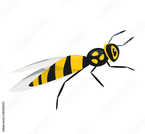 wasp in flat cartoon style on isolated background in flat style.  vector illustration.