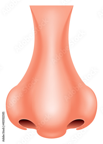 Vector nose in gradient style