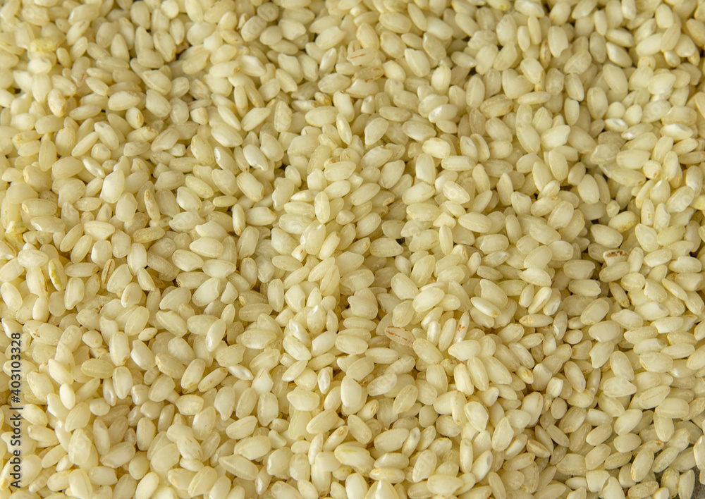 white rice raw Italian rice grains as background